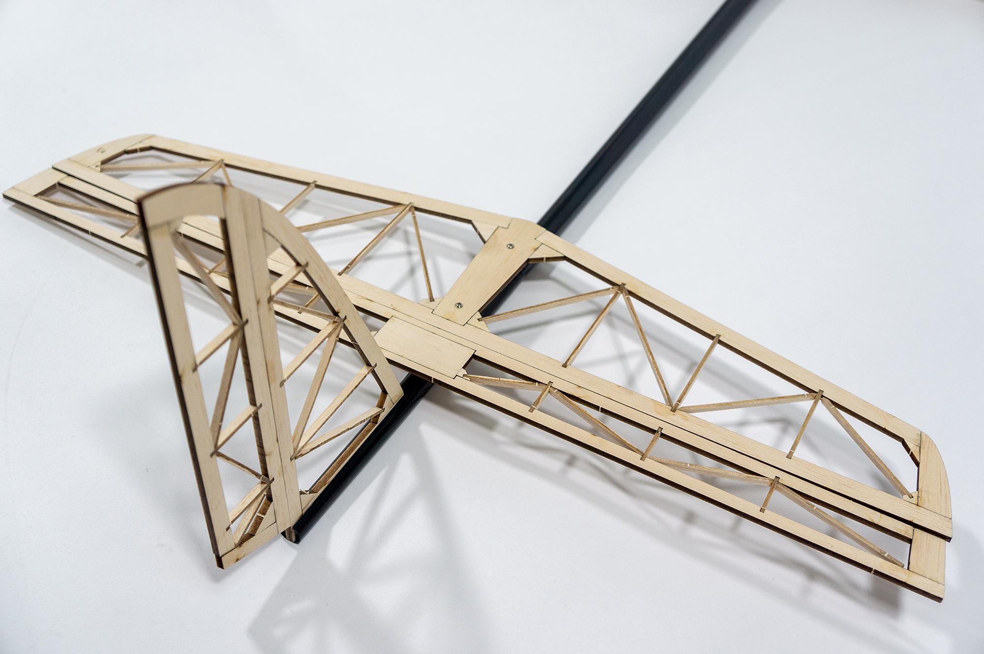 DW Hobby 2M Wingspan Aero Blad - Rc Hobby Aero recension och pris